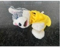 Foto cliente PawPunch